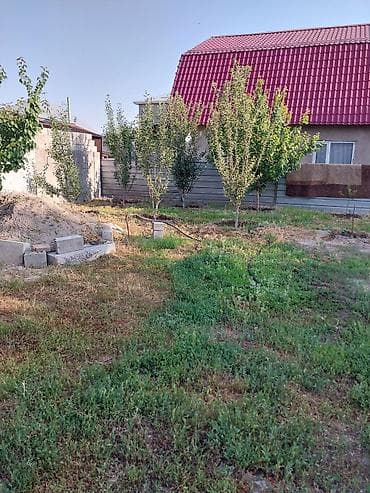 Участок с домом и дворовыми постройками - Жилой дом одноэтажный