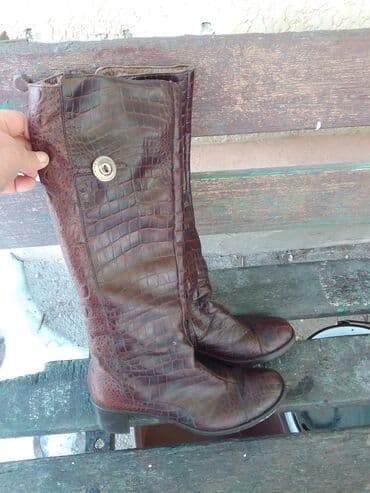 обувь для охоты: Сапоги, 38, BALDININI, Новый, цвет - Коричневый — 1