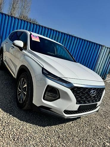 кастер: Hyundai Santa Fe: 2019 г., Автомат, Бензин, Кроссовер — 1