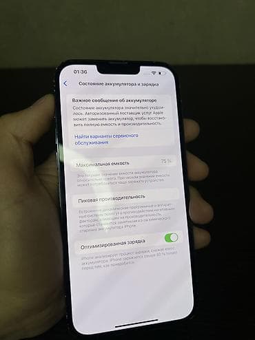microsoft surface: IPhone 13 Pro Max, 128 ГБ, Sierra Blue, 75 % — 6