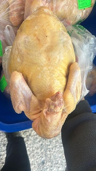 кыргыз кийими: Продаю чистые тушки бройлеров домашнего качества. Выращивание бройлер — 2