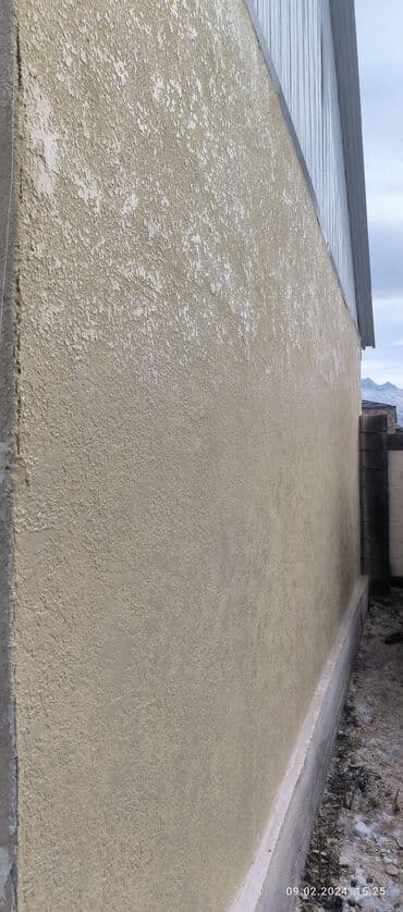 Шаймандарды ижарага алуу: Декоративдик шыбоо | Текстуралык 3-5 жылдык тажрыйба — 5