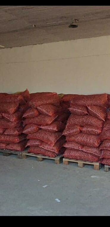 кровать трансформер 7 в 1: Продаю 600кг отборные грецкие орехи 100с за кг и сухофрукт — 6