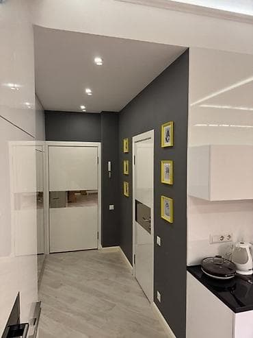 1 комната, 37 м², КНУ Элитка, 9 этаж, Евроремонт — 4