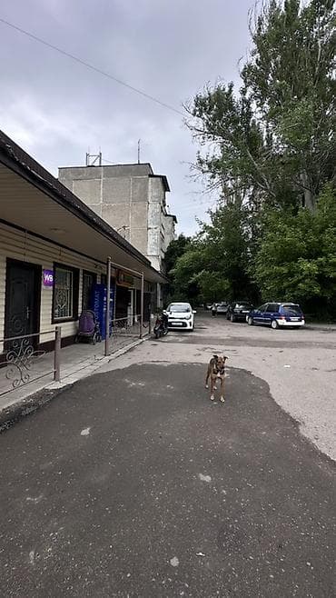 горид ош: СРОЧНО ! Продуктовый магазин за 15 000$ Не стартап. Не "давай — 9