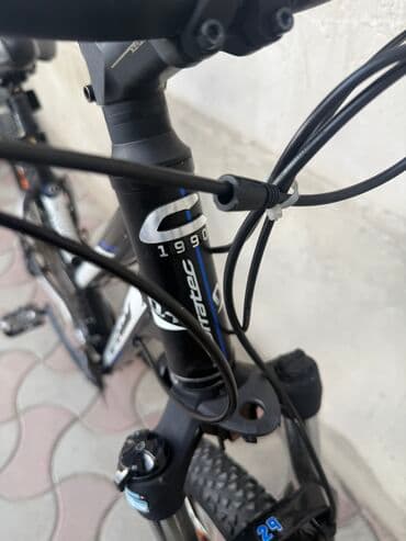 купить трехколесный электровелосипед для взрослых бу: Из Германии — 3