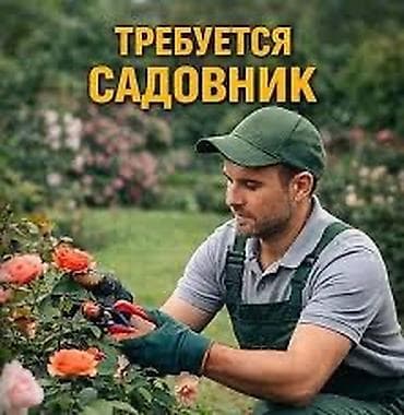 садовник с проживанием: Требуется ! Дворник и Садовник - Регулярное наведение порядка на — 2