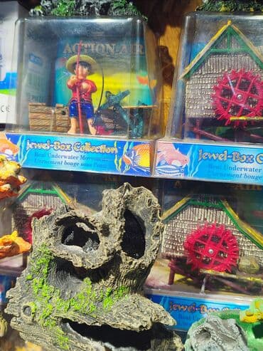 аквариумная рыбка: Большой ассортимент аквариумных декораций. Аквариум- прекрасный — 8