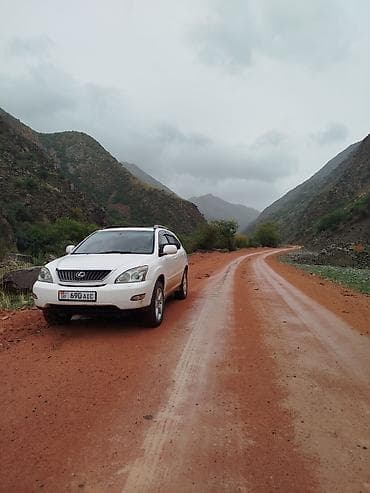 highlander 2012: Lexus RX: 2004 г., 3.3 л, Кроссовер — 1