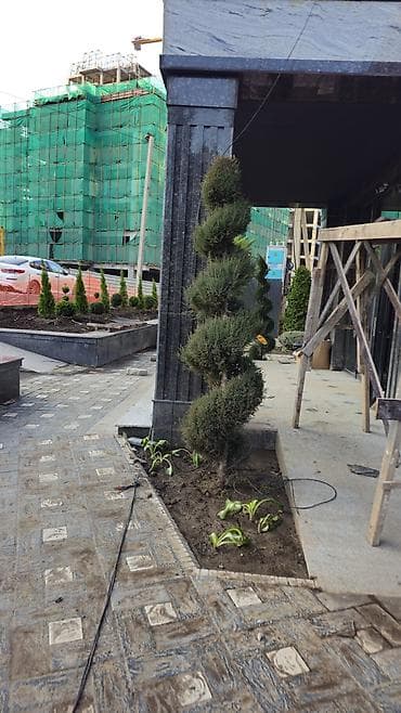 насос для выкачки воды: Авто полив💦💦 за 1м² 🟫 Жашылдандыруу 🏡 Благоустройство дома 🏕 Система — 4