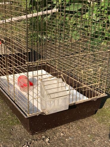 временная: Клетки для птиц, комплект из двух штук. Особенности: - Материал — 3