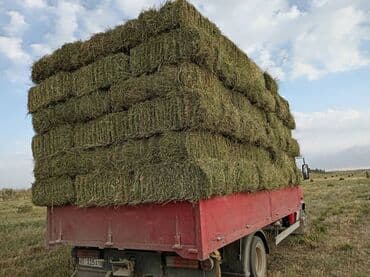 продаю домкрат: Грузовик, Mercedes-Benz, Стандарт, 6 т, Б/у — 6