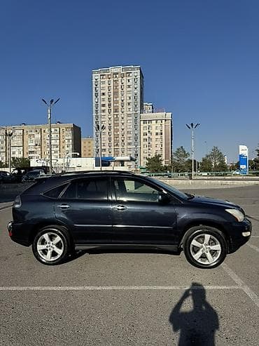 01: Lexus RX: 2004 г., 3.3 л, Автомат, Бензин, Кроссовер — 4