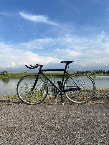 frank: Городской фикс-байк/синглспид - Лёгкая стальная рама классической — 1