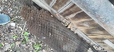 пластиковые сетка: Другая сетка — 1