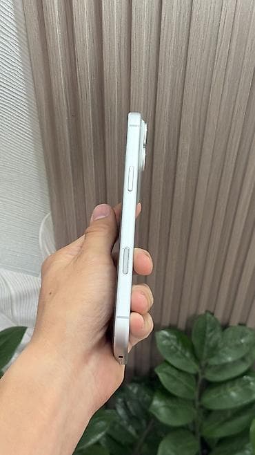 sd 128: IPhone 17 Pro Max, Б/у, 256 ГБ, Серебристый, Зарядное устройство, Защитное стекло, Чехол, 100 % — 4