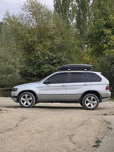 BMW: BMW X5: 2003 г., 3 л, Автомат, Дизель, Кроссовер — 3