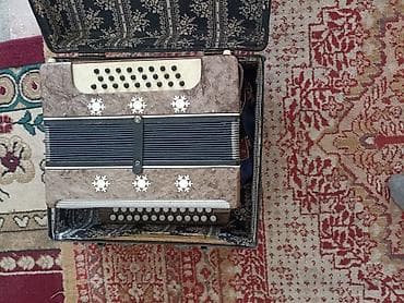 ля бубу: Баян с кейсом - Кнопочный баян в комплекте с жёстким кофром. - Корпус — 3