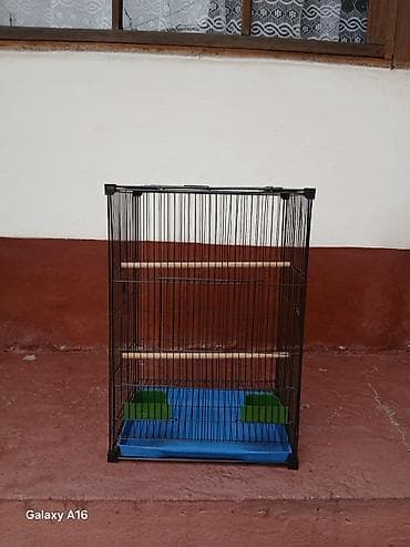 Башка жаныбарлар: Клетка для птиц (канарейки, волнистые попугаи и др.) Размер 32 - — 1