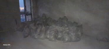 дома под снос: Снос стен, Разбор полов, Снятие потолков | Гипсокартонная стена, Снятие старой штукатурки, Кирпичная стена | Зачистка от старых обоев, Сбивка старой штукатурки, Снятие извести | Демонтаж ламината, Демонтаж паркета, Демонтаж линолеума | Крыша из шифера, Металлочерепичная кровля, Мягкая кровля 3-5 лет опыта — 8