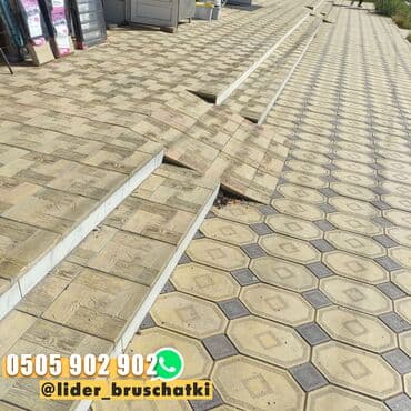 аквариум для дома: С Лидером Брусчатки - Успейте к Наступлению Зимы! ❄️ Зима уже близко — 8