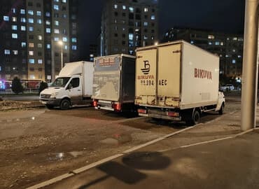 комнатные растения в бишкеке купить цена оптом и в розницу: Грузоперевозки грузоперевозки Грузоперевозки грузоперевозки — 1