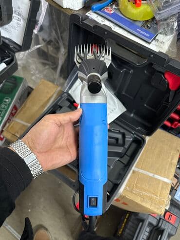 заводской инкубатор: Кой кырккан машинка . 1 жыл гарантия на сервис Кой машинка — 2