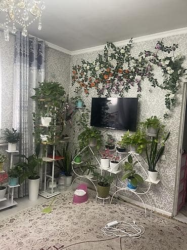 дома кок жар: Ассалом алейкум жаамат эки комнаталуу уй сатылат устунку Токолдош — 1
