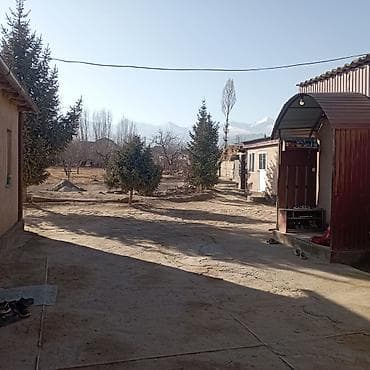 Кыймылсыз мүлк: 25 соток, Кызыл китеп — 6