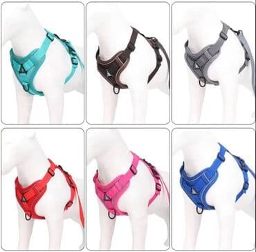 Үй жаныбарлары: ПРОДАЮ КОШАЧЬЮ МЯТУ(АНТИСТРЕСС),ПОРАДУЙТЕ СВОГО КОТИКА ТАКОЙ — 3