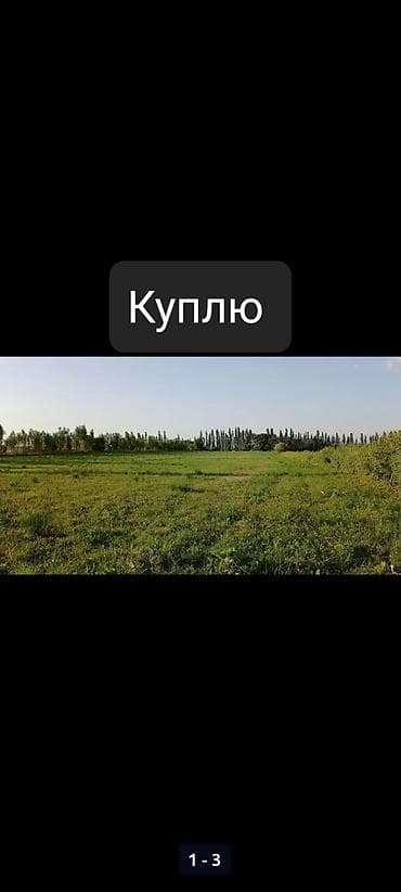 участка сатам: Ищу к покупке земельный участок — 1