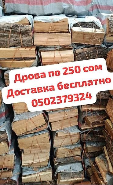 Садовая мебель: Дрова — 4