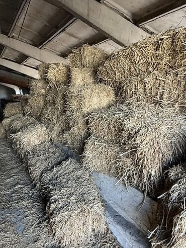 куриные лапы: Прошлогодний клевер с овсом, первогодичный клевер с овсом прессованный — 2