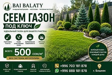 сеем газоны: Сеем газон “под ключ” для вашего участка — Bai Balaty (ландшафтный — 1