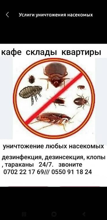 aura roboclean: Дезинфекция, дезинсекция, | Блохи, | Квартиры — 5