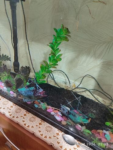 Животные: Аквариум комплект 100 л с крышкой и оборудованием .85 длина,50 — 5
