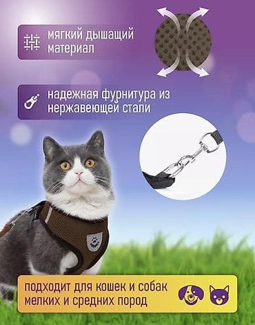 поводок для собак: Продаю шлейка для собак или кошек + поводок В идеальном состоянии - — 5