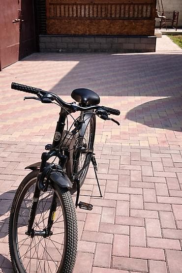 Аңчылык жана балык уулоо: Тоо велосипеди, Болот — 2