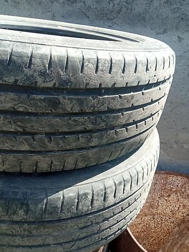 Шины 225 / 55 / R 19, Лето, Б/у, Пара, Внедорожные (АТ/МТ), Япония, Toyo