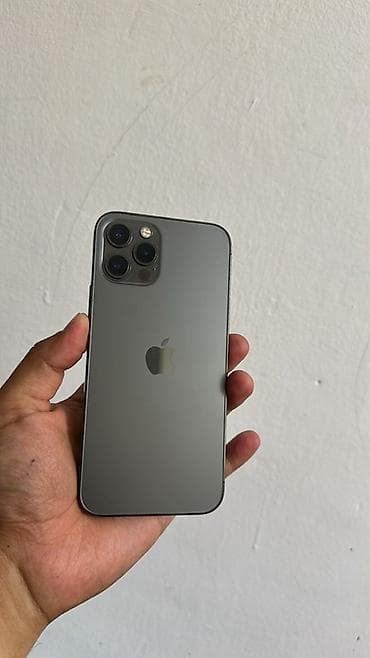 IPhone 12 Pro, Графит
