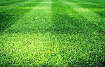 газонная трава для детской площадки: Искусственный газон для игровых и спортивных площадок - Плотное — 4