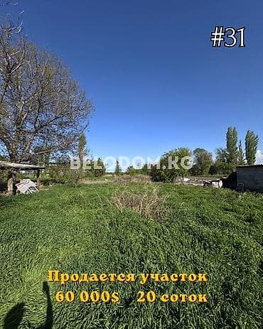 восток сити: 20 соток — 1