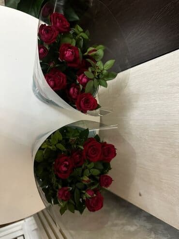 цветы бишкек цена: Комнатные розы разных цветов – Голландия🌹🌸 Свежие, красивые комнатные — 3