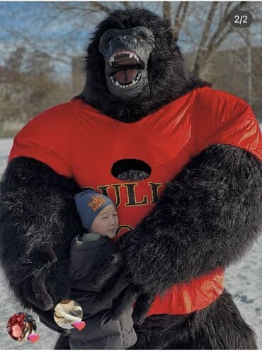 аренда кастюм: Ростовая кукла, Мультфильм, Заяц — 7