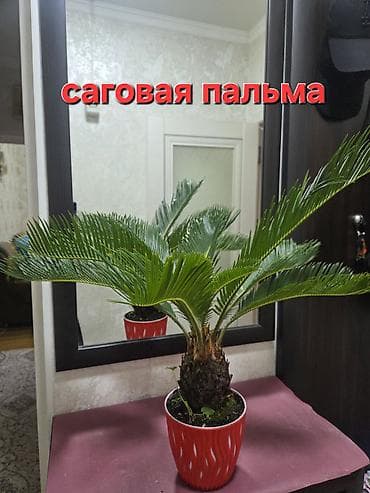 Гладильные доски: Полка, этажерка для цветов, Новый, Железо, Самовывоз — 9