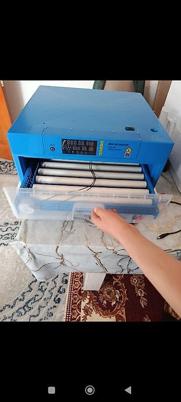 реклама бу: Инкубатор для яиц «Mini Incubator» (электронный) - Тип: полностью — 4