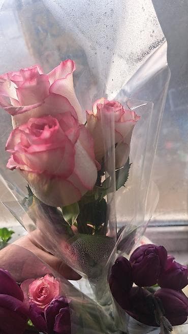 мандарин ящик: 🌸 Премиум гүлдөр келди! 🌸 Пион розалар жана георгина – назик, кооз — 2