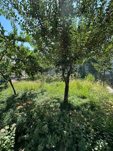 участок дом арча бешик: Дом, 148 м², 4 комнаты, Риэлтор, Евроремонт — 30