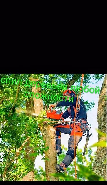 заказ пошив: Спил деревьев любой сложности Профессиональные высотные работы по — 3