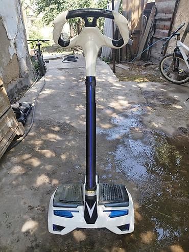 Сигвей/гироскутер с рулевой стойкой продаю срочно! - Форм‑фактор